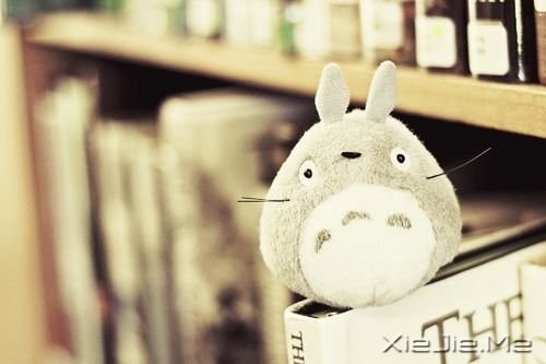 ��������˲������ں�ҹ���������û������ (8)