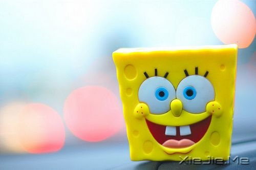 ��������˲������ں�ҹ���������û������ (9)