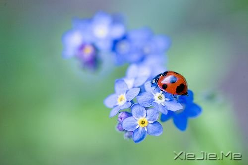 �簲�����ֻ��Ц�ĺܻ������˲Ų��ᱻ���� (10)