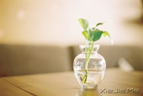 �������������Ҫ�Ĳ����������������� (1)