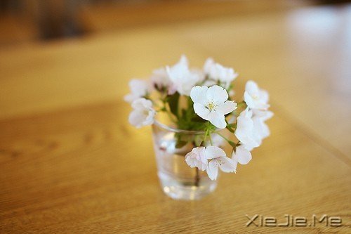 ��Ը���¾���